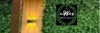 شركة وعد 